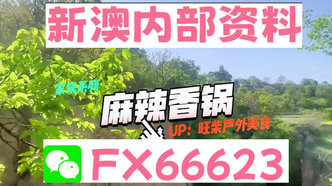 新澳準資料免費提供背后的犯罪問題探討，新澳準資料免費提供背后的犯罪問題深度探討