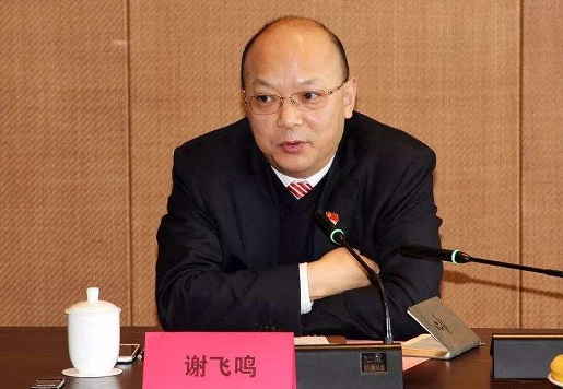 方大集團(tuán)董事長(zhǎng)背景深度解析，方大集團(tuán)董事長(zhǎng)背景深度探究