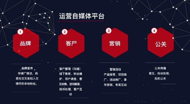新奧天天精準資料大全，探索與解析，新奧天天精準資料大全，深度探索與全面解析