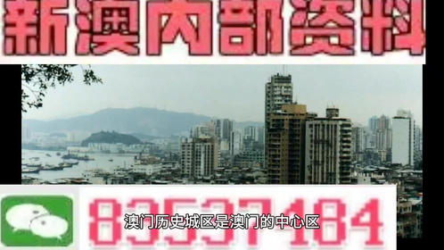 關(guān)于澳門全年免費資料的誤區(qū)與警示——警惕違法犯罪風(fēng)險，澳門免費資料的誤區(qū)與風(fēng)險警示，警惕犯罪風(fēng)險