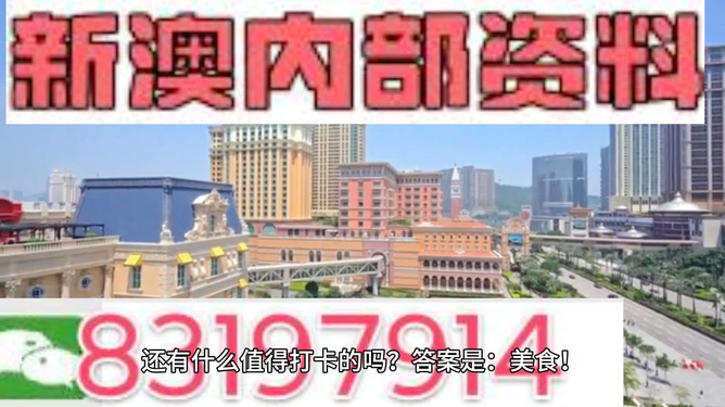關(guān)于新澳精準(zhǔn)正版資料的探討——警惕違法犯罪風(fēng)險，關(guān)于新澳精準(zhǔn)正版資料的探討，警惕違法犯罪風(fēng)險，切勿踏入法網(wǎng)陷阱。