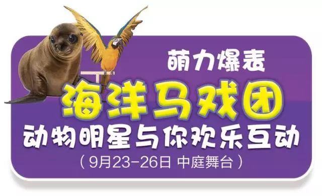 新奧門天天開獎(jiǎng)資料大全，揭示背后的風(fēng)險(xiǎn)與犯罪問題，新奧門天天開獎(jiǎng)背后的風(fēng)險(xiǎn)與犯罪問題揭秘
