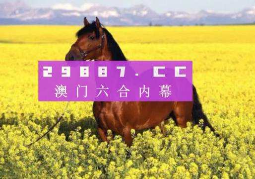 澳門天天彩開獎結(jié)果，探索彩票背后的故事與影響，澳門天天彩開獎背后的故事與影響探索