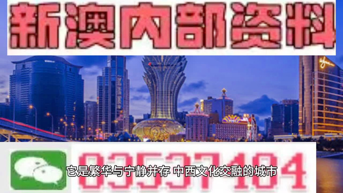 新澳門免費全年資料查詢，深度探索與實用指南，澳門資料查詢的風險與防范指南，深度探索與實用指南警告風險揭露