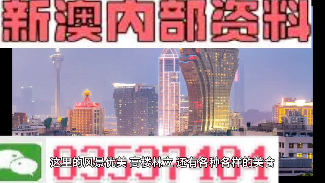 2024新奧精準資料大全概覽，2024新奧精準資料大全總覽