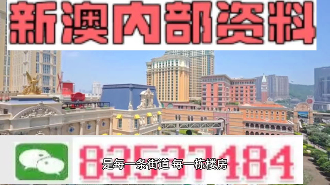 澳門全年免費資料，警惕背后的風(fēng)險與違法犯罪問題，澳門免費資料的背后風(fēng)險與違法犯罪問題警惕