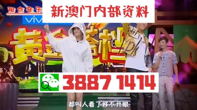 澳門一肖一碼一必中一肖與雷鋒，關(guān)于違法犯罪問題的探討，澳門一肖一碼與雷鋒，探討違法犯罪問題