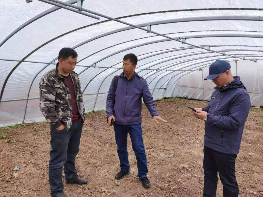 警惕虛假博彩陷阱，新澳門王中王期期中的真相揭示，警惕虛假博彩陷阱，新澳門王中王真相揭示