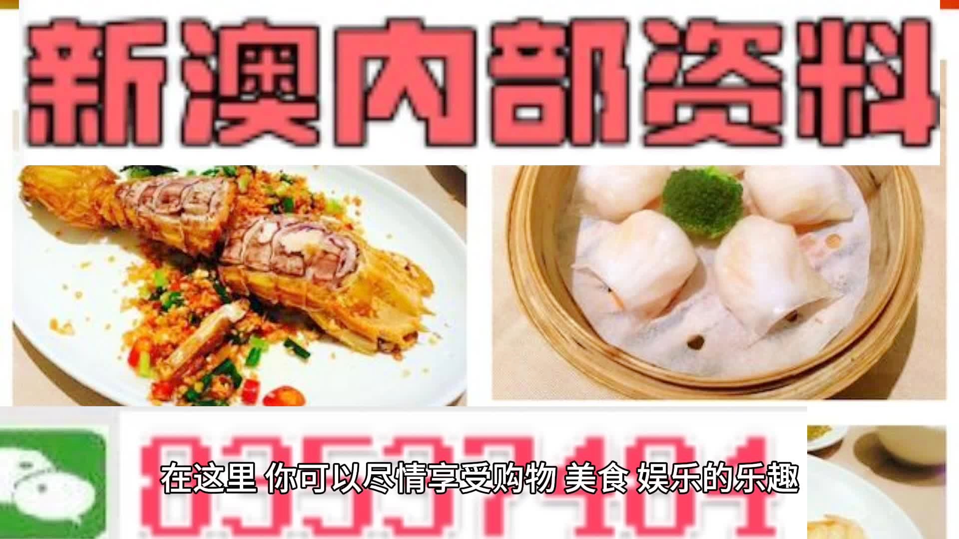 新奧天天精準資料大全，探索與解析，新奧天天精準資料大全，深度探索與全面解析