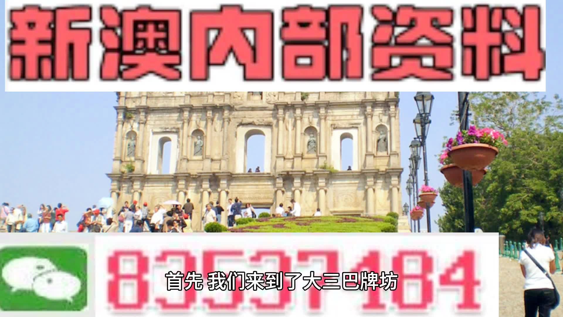 新澳六開(kāi)獎(jiǎng)結(jié)果資料查詢(xún)，探索與解析，新澳六開(kāi)獎(jiǎng)結(jié)果解析與查詢(xún)探索
