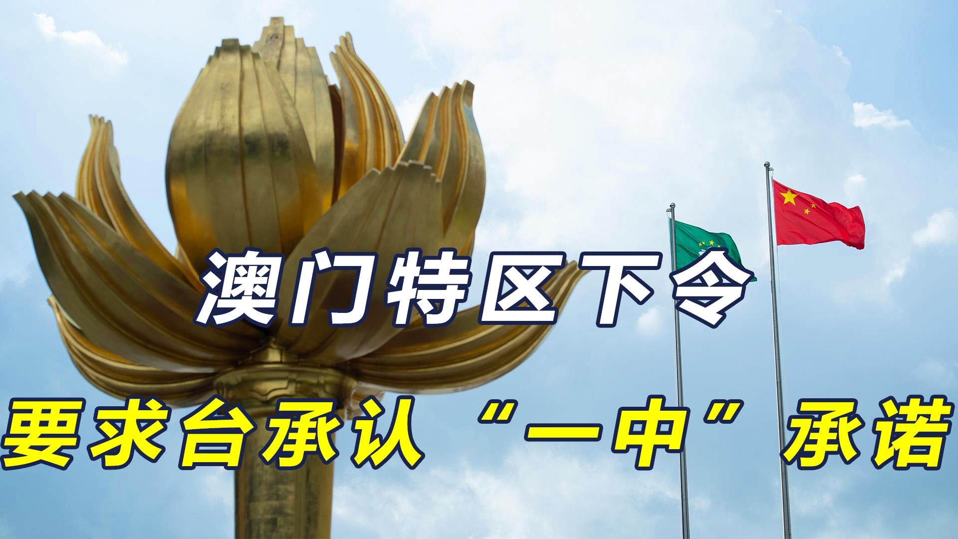 澳門一碼一肖一待一中四不像，探索神秘與現(xiàn)實的交織，澳門神秘現(xiàn)象揭秘，一碼一肖一待一中四不像的探索之旅