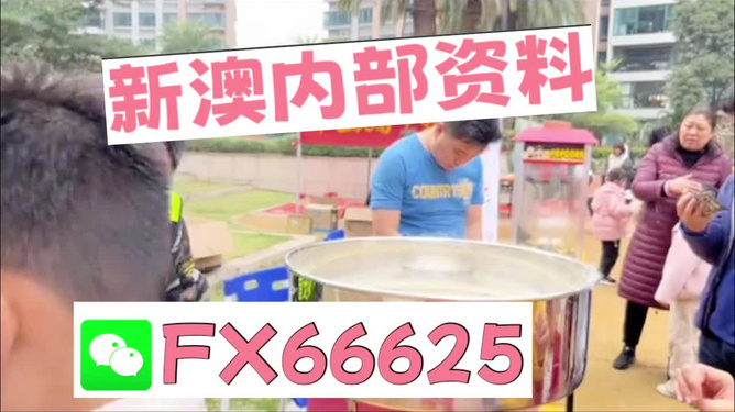 澳門正版資料大全，特色功能深度解析，澳門正版資料大全，特色功能深度解析與詳解