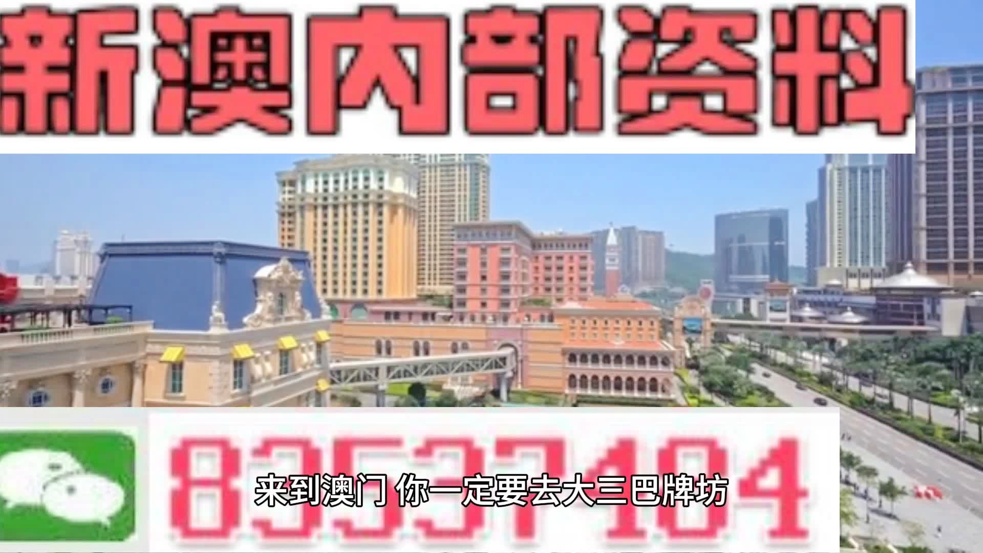 新澳門免費全年資料查詢，探索與解析，澳門全年免費資料查詢，深度探索與解析