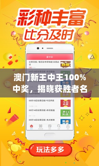 新澳門王中王100%期期中，探索彩票世界的神秘面紗，揭秘新澳門王中王彩票期期中奧秘，揭開彩票世界的神秘面紗