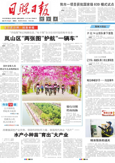 一肖一碼免費(fèi)與公開，犯罪行為的警示與反思，一肖一碼免費(fèi)與公開背后的犯罪警示與反思
