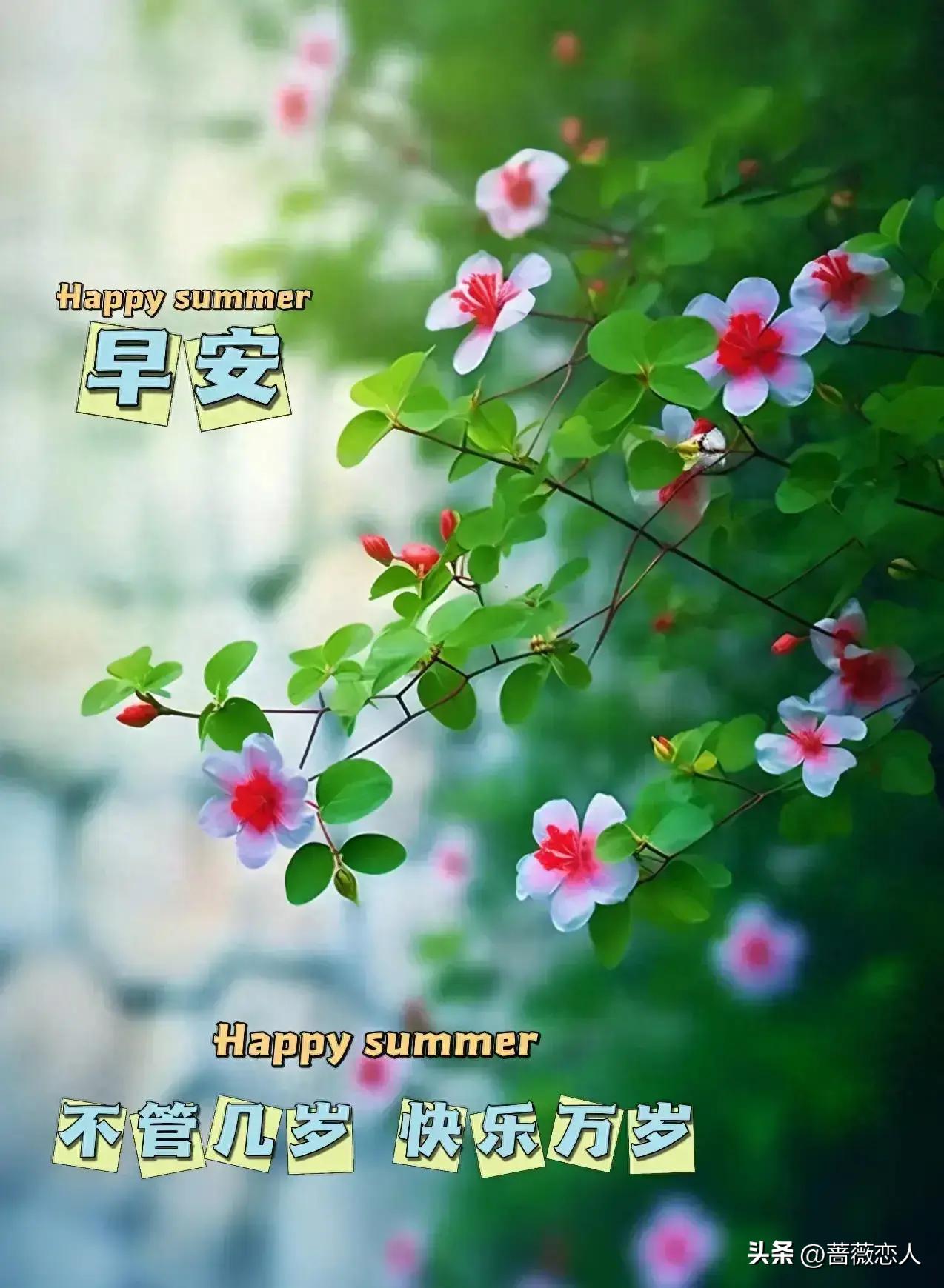 探索2024天天彩正版資料大全——揭秘彩票世界的奧秘與機(jī)遇，揭秘彩票世界奧秘與機(jī)遇，探索2024天天彩正版資料大全