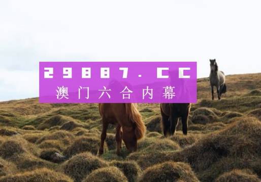 澳門彩的開獎(jiǎng)結(jié)果，探索與期待，澳門彩開獎(jiǎng)結(jié)果揭秘，探索與期待