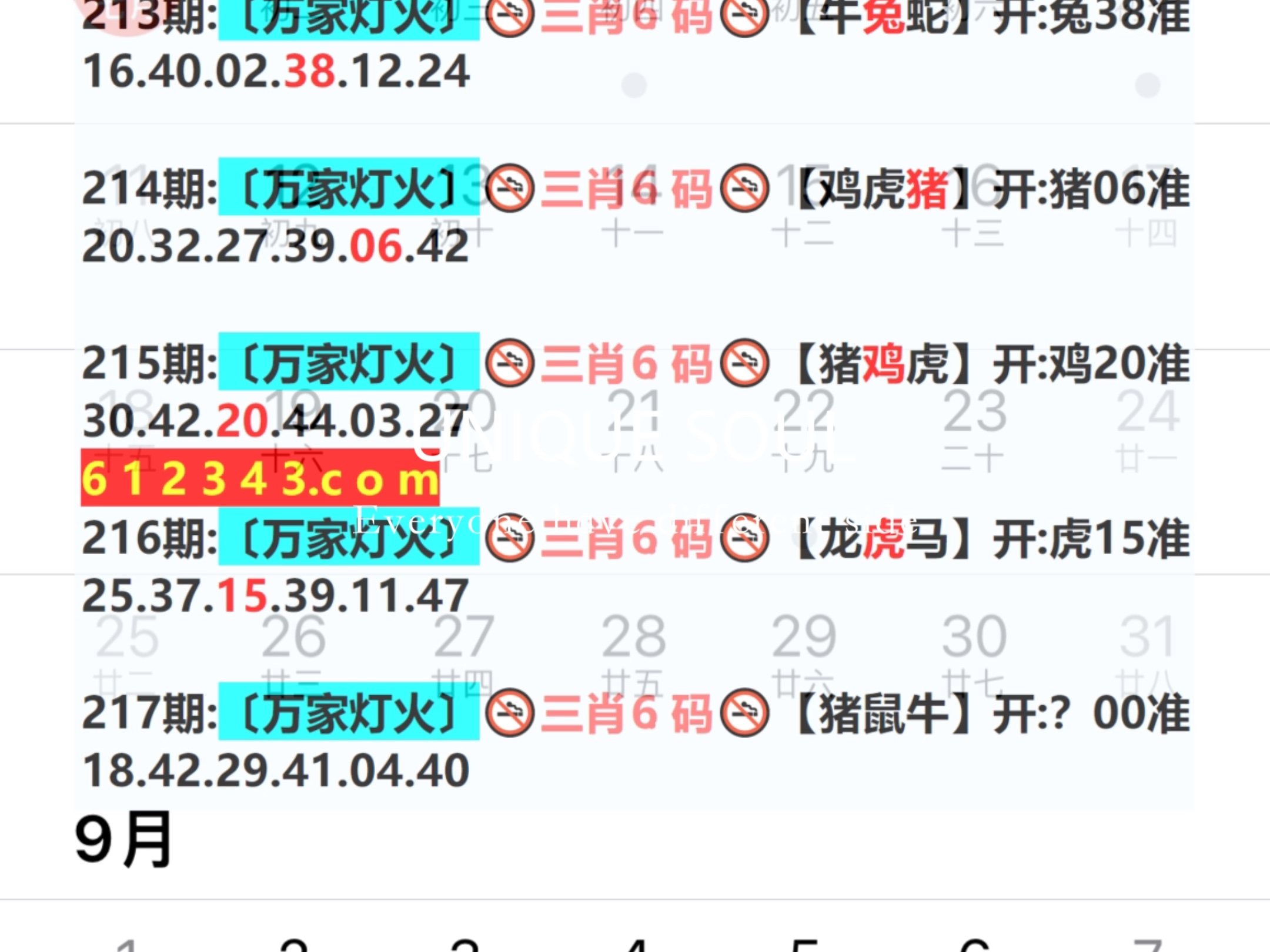 新澳門期期免費(fèi)資料，探索與揭秘，探索與揭秘，新澳門期期免費(fèi)資料