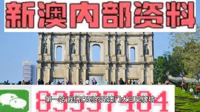 關于新澳門正版免費資料的查詢——警惕犯罪風險，警惕犯罪風險，新澳門正版免費資料查詢需謹慎