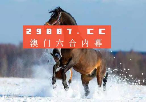 澳門一一碼一特一中準選今晚，探索澳門的魅力與未來，澳門魅力與未來探索，今晚一一碼一特一中準選揭曉