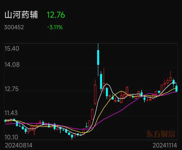 山河藥輔股票，投資潛力與市場(chǎng)前景分析，山河藥輔股票投資潛力與市場(chǎng)前景深度解析